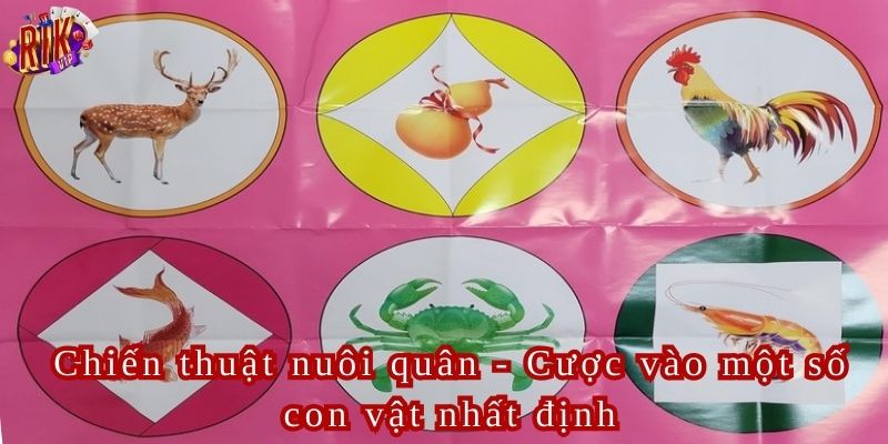 Một chiến thuật được nhiều người chơi bầu cua áp dụng
