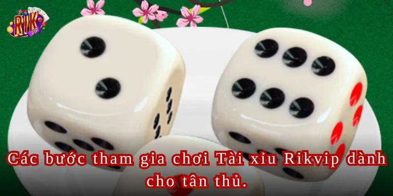 Các bước tham gia chơi Tài xỉu Rikvip dành cho tân thủ.